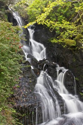Falls at Dunvegan Castle Gardens