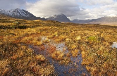 Bog at Rannoch Moor