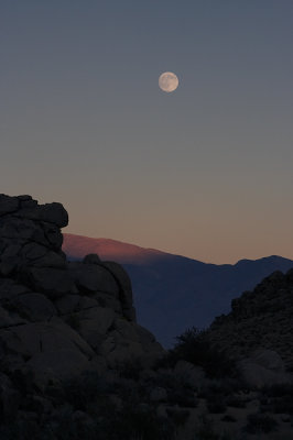 Buttermilk Moonrise