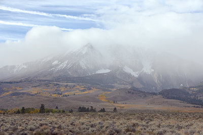 Shrouded in Clouds