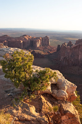 Daybreak on the Mesa