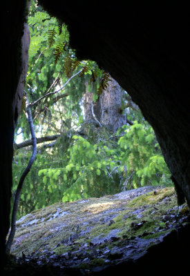 :: Fototvling, tema Grotta 1/9 2010 ::