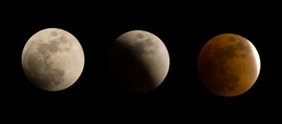 Lunar Eclipse copy.jpg