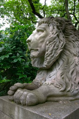lion1.jpg