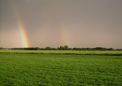 Regenboog