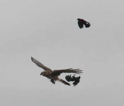 g1/01/952501/3/125596610.ooVSRXy2.jpg