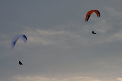 IMG_3135.JPG