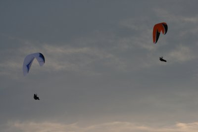 IMG_3137.JPG