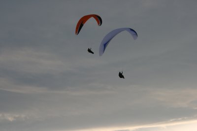 IMG_3138.JPG