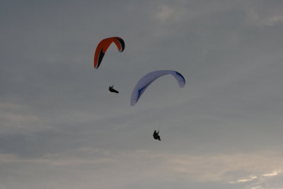 IMG_3139.JPG
