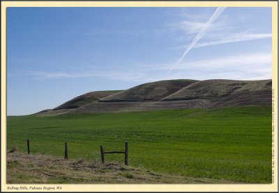 _DSC0167cs.jpg