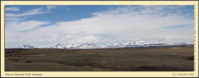 _DSC0420cs.jpg