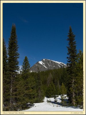 _DSC3575cs.jpg