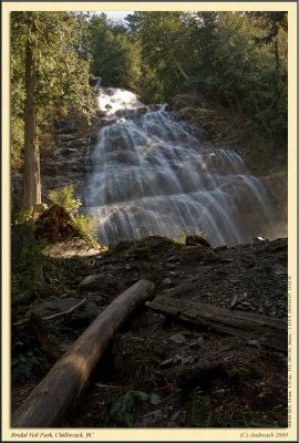 _DSC3696cs.jpg