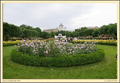 _DSC1011cs.jpg