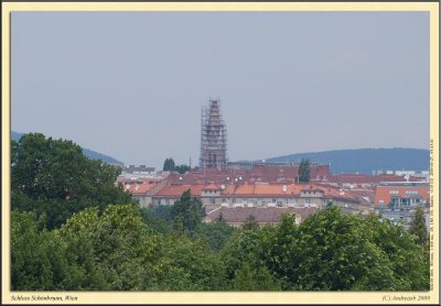 _DSC1236cs.jpg