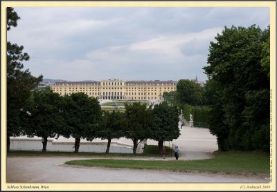 _DSC1238cs.jpg