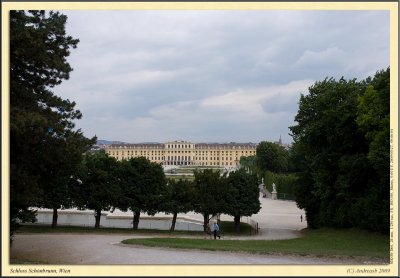 _DSC1239cs.jpg