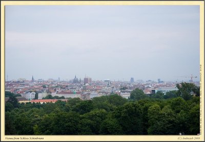 _DSC1285cs.jpg
