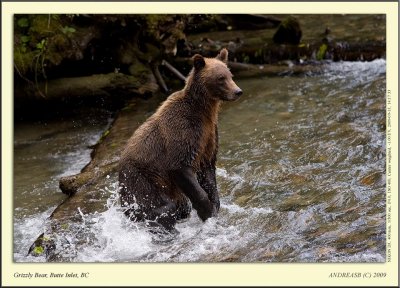 _D3A0550cscr.jpg