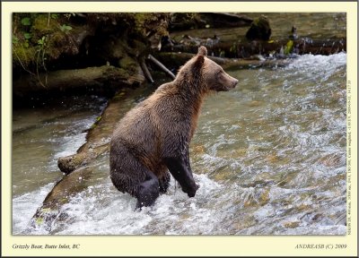 _D3A0552cscr.jpg