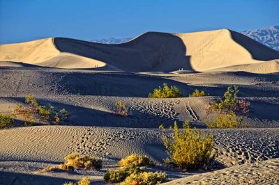 On the dunes