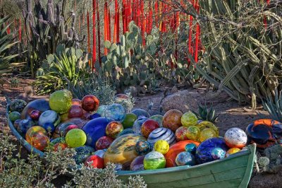 Desert Botanical Garden: The Chihuly Exhibit