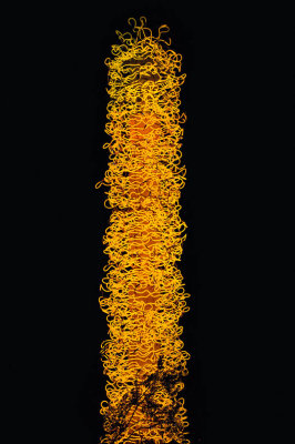 Saffron Tower at night