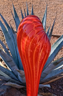 Orange stalk