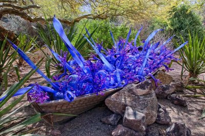 Blue and Purple Boat