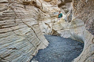 Now appearing in Mosaic Canyon
