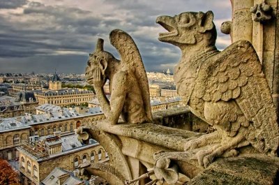 Atop Notre Dame