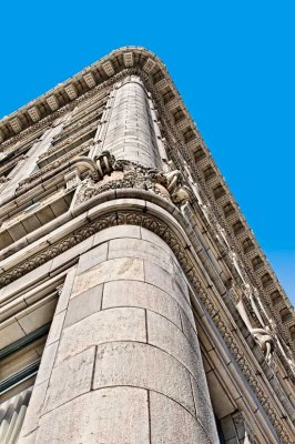 Walrus building
