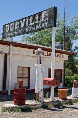 Budville, New Mexico