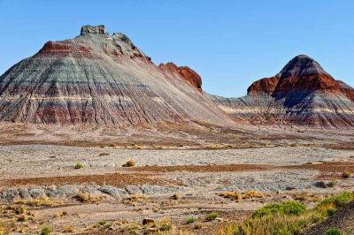 Petrified Forrest National Park