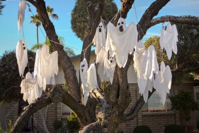 Tree Ghosts