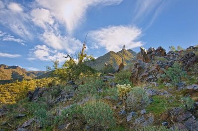 High desert