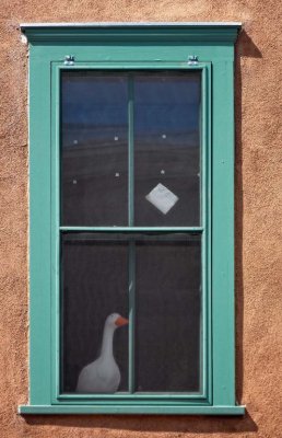 Goose Window, Santa Fe