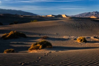 On the Dunes