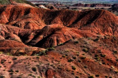 The Painted Desert