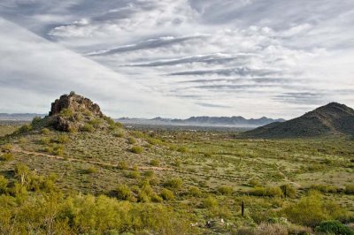 Phoenix Mountain Preserves