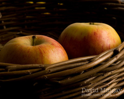 Oct 18: Two apples