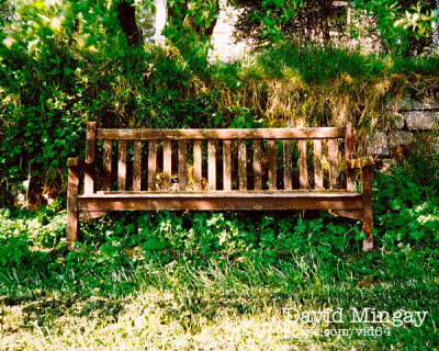 May 10: Bench