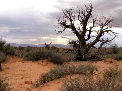 A stormy day at Arches National Park