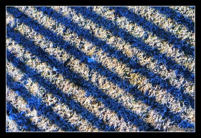 13.01.09 - The Blue/White Stripes