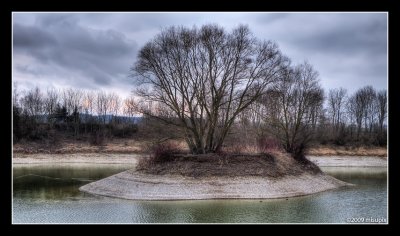 30.03.09 - Tree-Isle