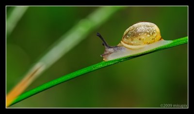 09.05.09 - Snailing