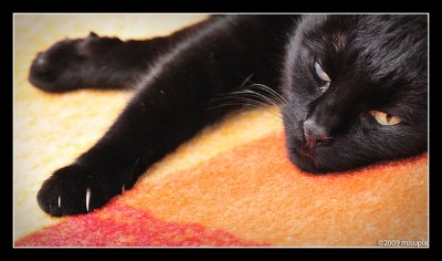 23.07.09 - RelaXing