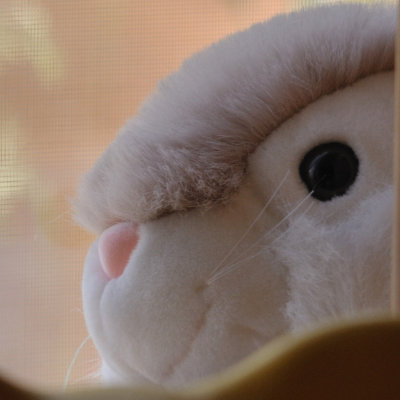g1/02/348102/3/125735381.wKH2nzAX.jpg