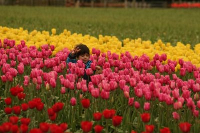Tulip Visit 2009 059-.jpg